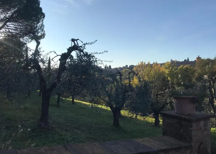 La Perla Tra Gli Ulivi * Siena
